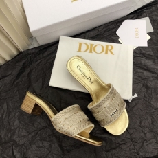 Christian Dior Slippers